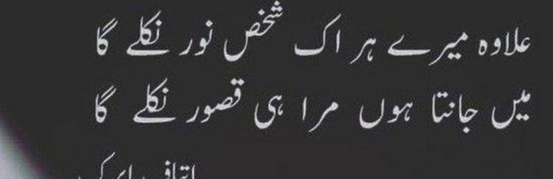 Ameer Ali