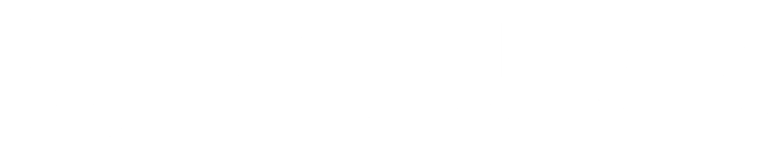 Virtual Friends I Virtual Social Network